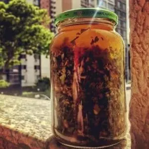 Tintura de ervas para açúcar